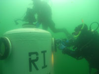 R1a